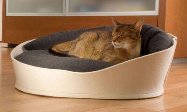 Luxury Cat Beds and Furniture